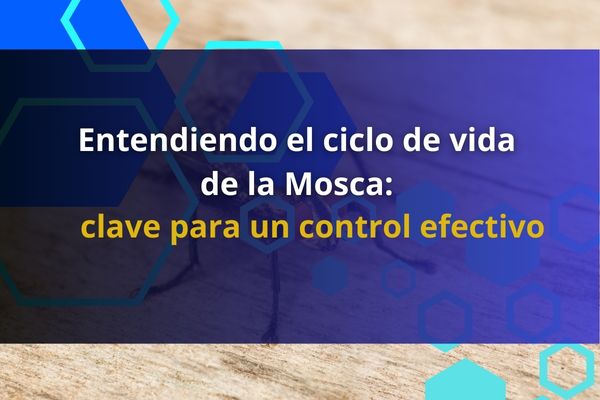 Entendiendo el ciclo de vida de la mosca: clave para un control efectivo